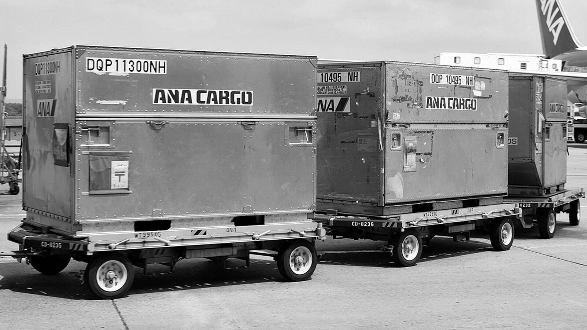 Unit Load Devices Unloaded from ANA Aircraft
